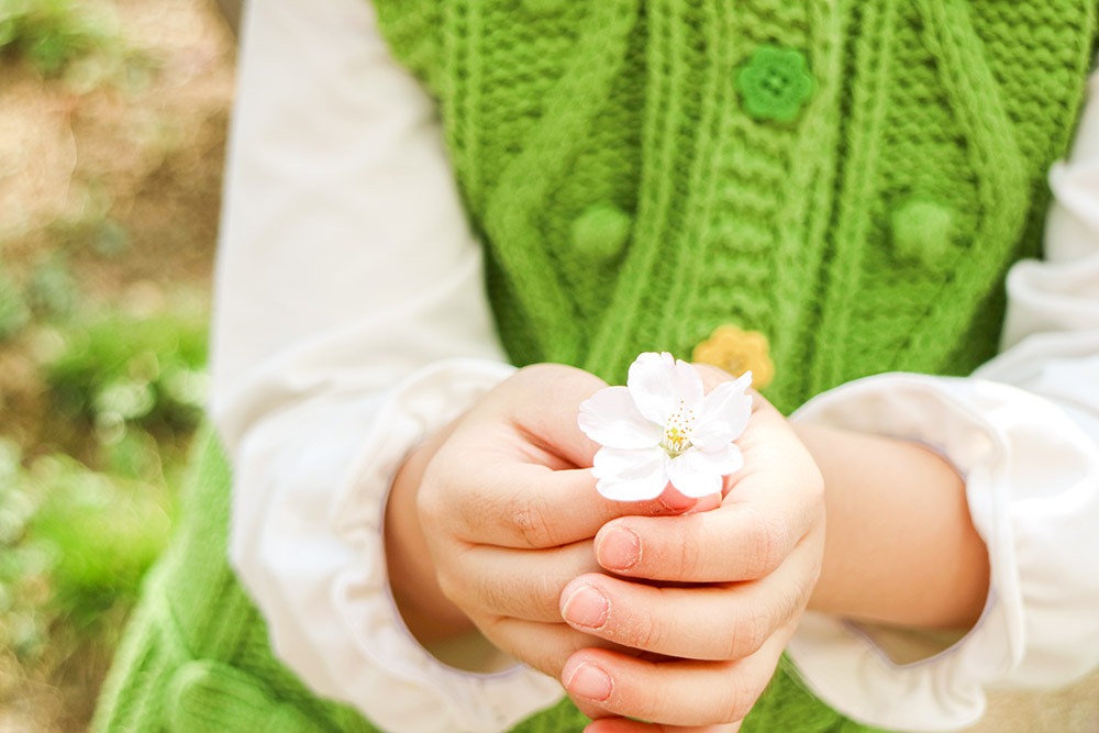 따뜻한 봄날에 꽃송이를 들고있는 아이의 손